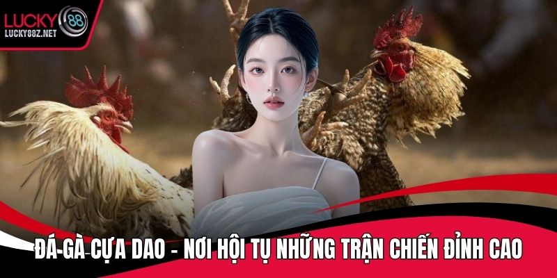 Đá gà cựa dao